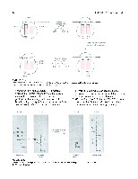 Bhagavan Medical Biochemistry 2001, page 611